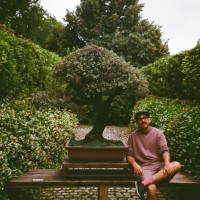 Dan Todd