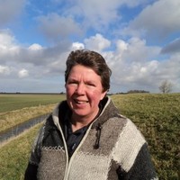 Tineke de Vries