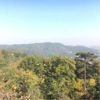 杨希瑞