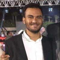 Mohamed Mikkawy