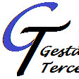 GT GESTAO DE TERCEIROS SA