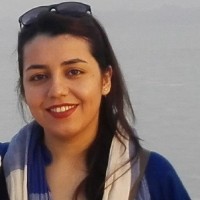 sonouran zamani