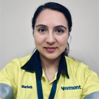 Marleth Lujan Acevedo