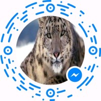 Munir Gul