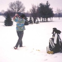 Lyle Palmer