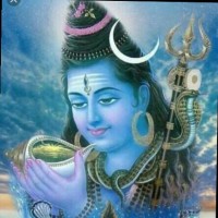 Shlok Ojha