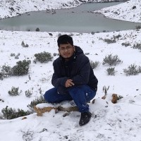 Alexander Nicolas Castillo Aparicio