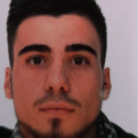 Daniele Vio