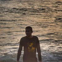 Aldian Palsa