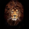 Bandhan Patel