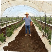 Fernando Martinez Martínez