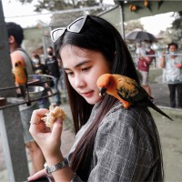 Suthida Manasikan