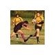 Japie Bester