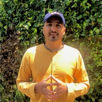 Ali Hamza