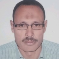 Mohamed Eltawel