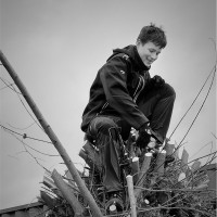 Max Pelle