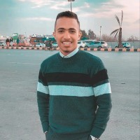 Amr abdelmaksoud