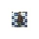 Mitesh Shridhap