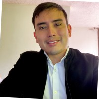 Juan Felipe Araque Vargas