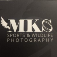 Mks Photography (Mark Stringer)