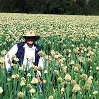 Rodrigo A Monsalve Salazar