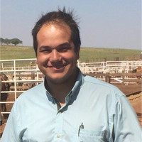 Felipe Parise