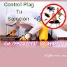 Control Plag