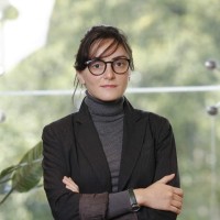 Nino Adamia