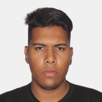 Daniel Dos Santos Gonçalves