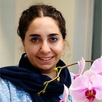 Golnar Elhami