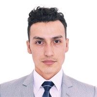 David Mauricio Ramirez Pena