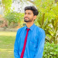Muhammad Awais Anwar