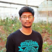 Mithilesh M