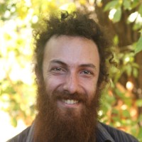 David Abramson