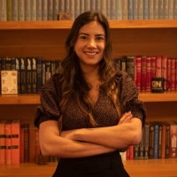 Luisa Paes Leme Steinbruck Guimarães
