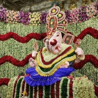 Vitthal Wakode