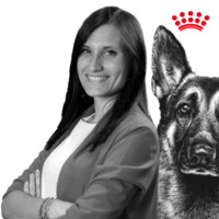 Alice Butti