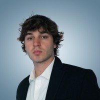 David Stein