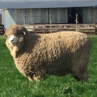 Estancia y Cabaña Santa Cecilia