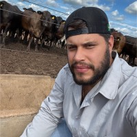 Camilo Henrique Otávio Amaral Rodrigues