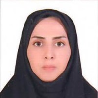 Z Mohseni
