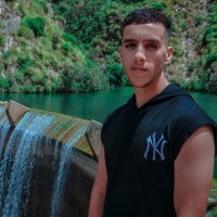 Tarek SAIDJ
