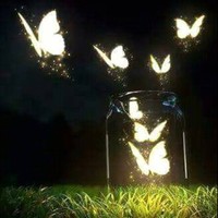 ابوفارس عدنان