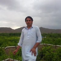 haroon stanikzai