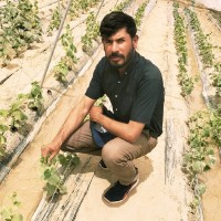 Farhan Ullah