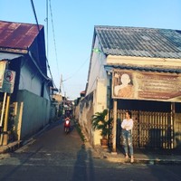 陈怡维