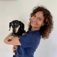 Alma Rotolo