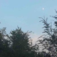 刘大全