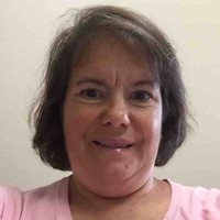 Lisa A Triolo