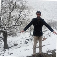 Sadiq Majeed